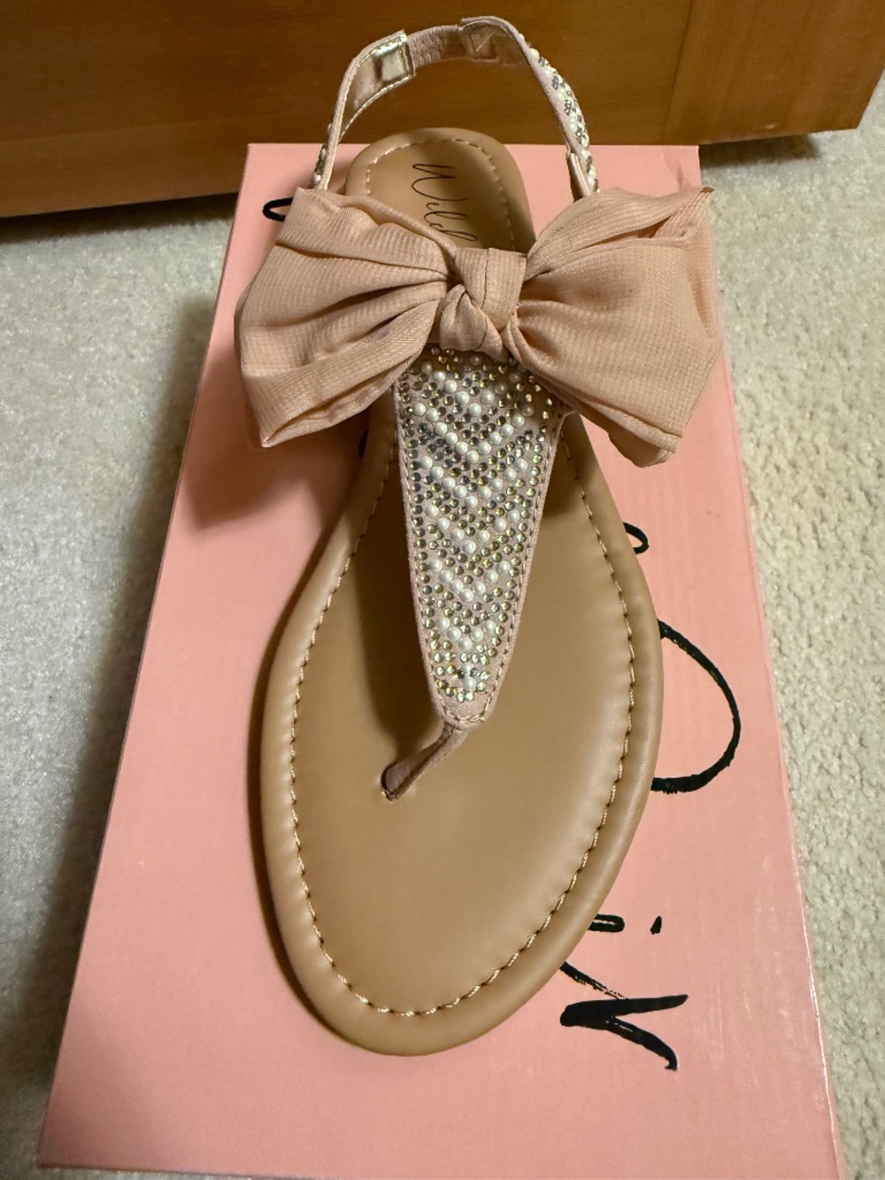 New, Wild Pair Blush Sandals